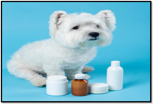 Buy Medium Labradoodle Products