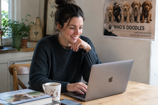 Person researching reputable Labradoodle breeders online