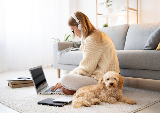 Australian Labradoodles online