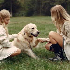 Goldendoodle Puppy Training Session
